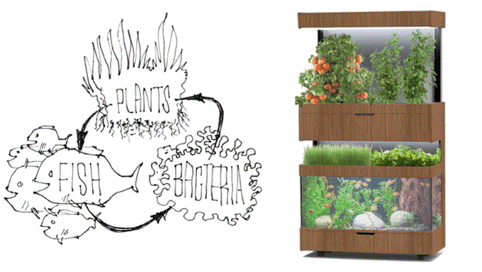 Grove Ecosystem - Menanam Sayuran Dalam Ruangan 4